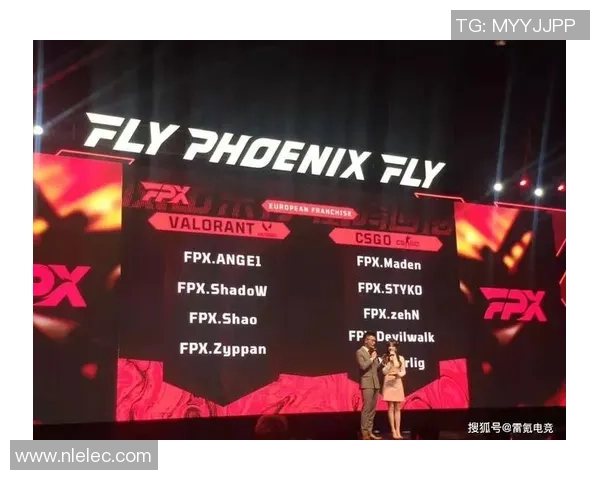 FPX战队的荣耀与挑战CSGO背后的奋斗故事与成长历程